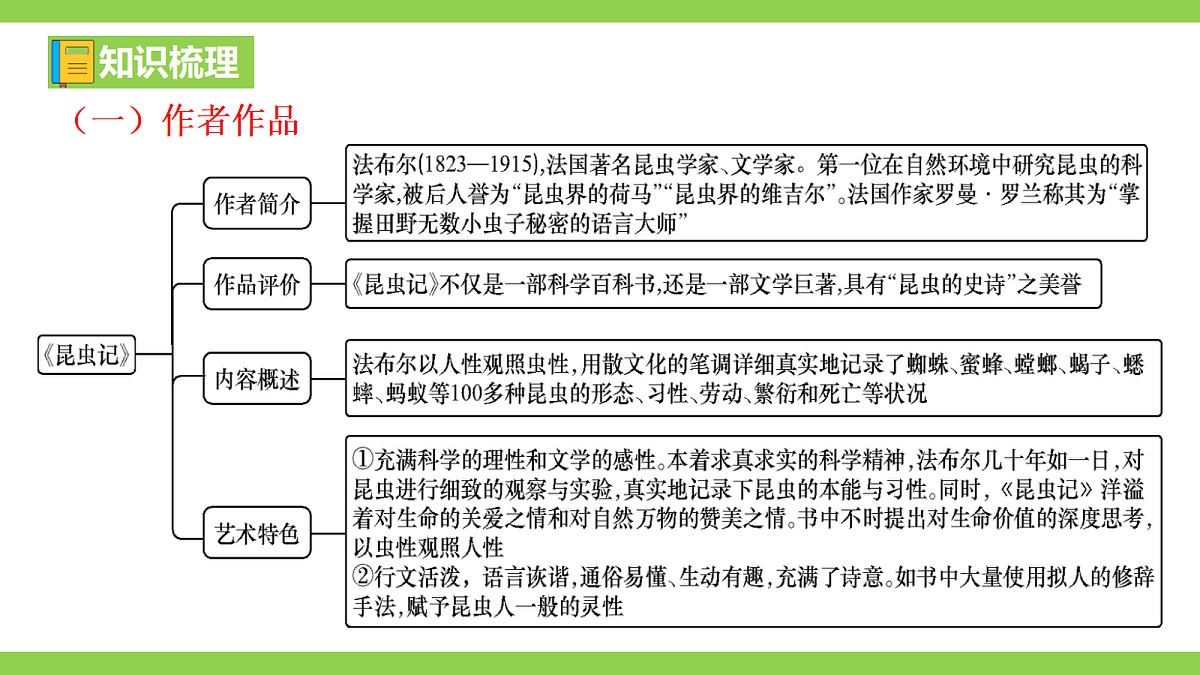 八语下期末整本书阅读专题复习(二)(课件)第4页
