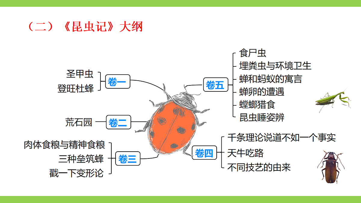 八语下期末整本书阅读专题复习(二)(课件)第5页