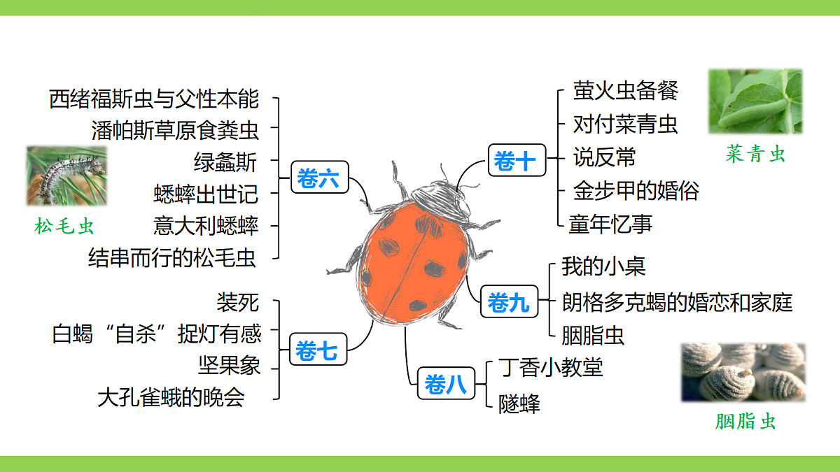 八语下期末整本书阅读专题复习(二)(课件)第6页