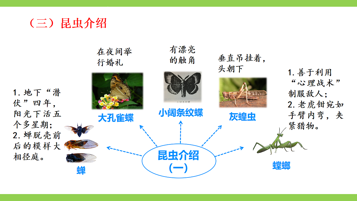 八语下期末整本书阅读专题复习(二)(课件)第7页