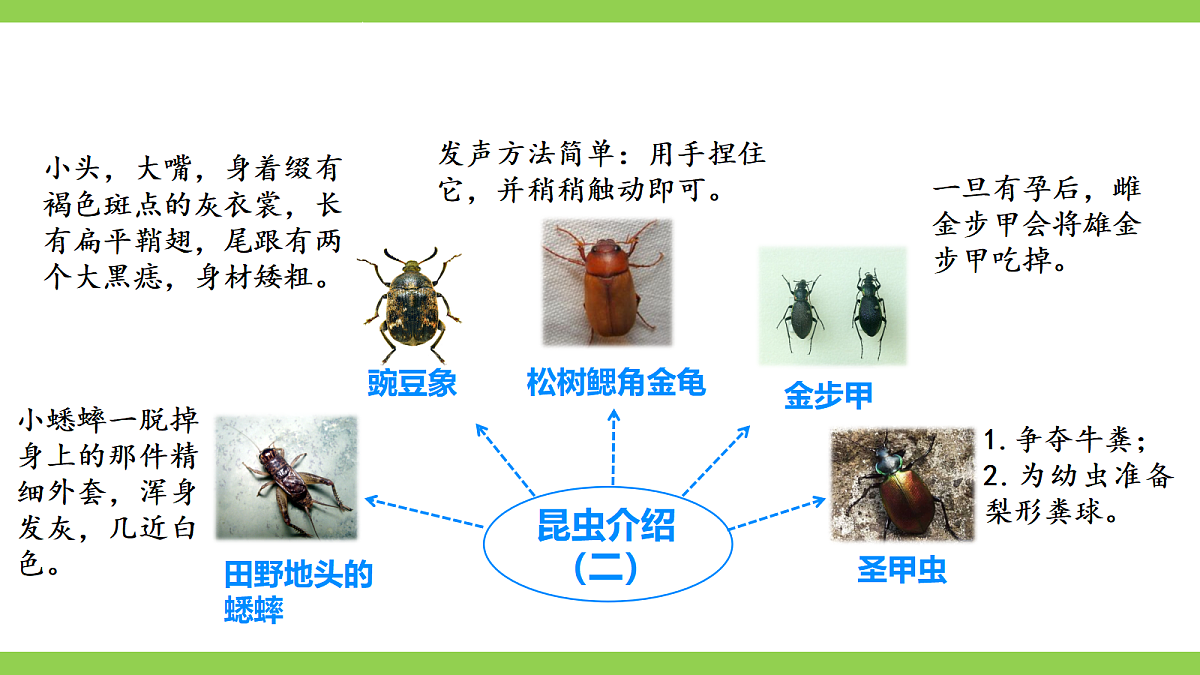 八语下期末整本书阅读专题复习(二)(课件)第8页