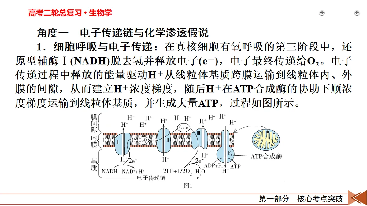 18155063第3页