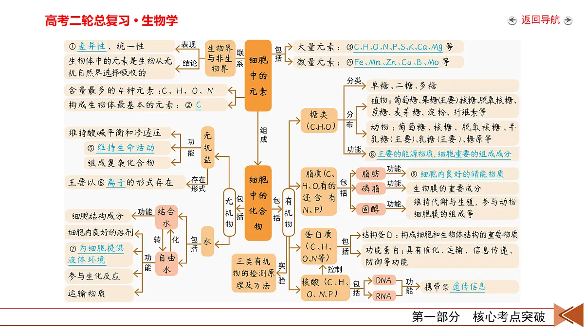 18155071第8页