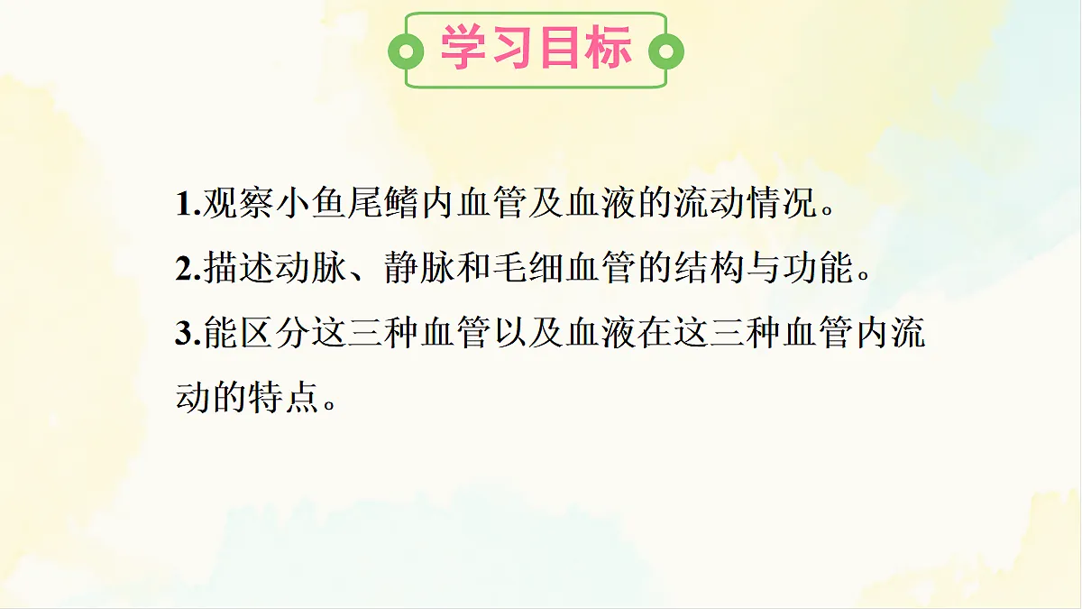 18155511第2页