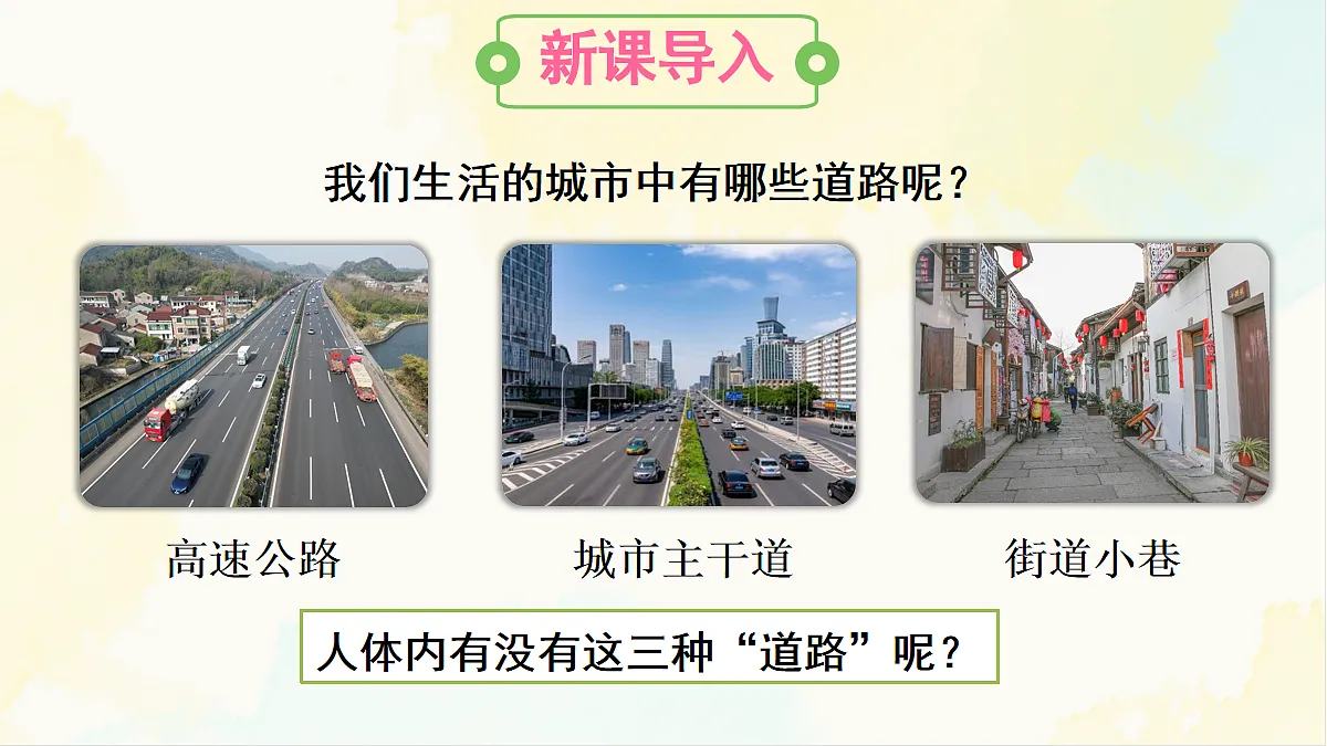 18155511第3页