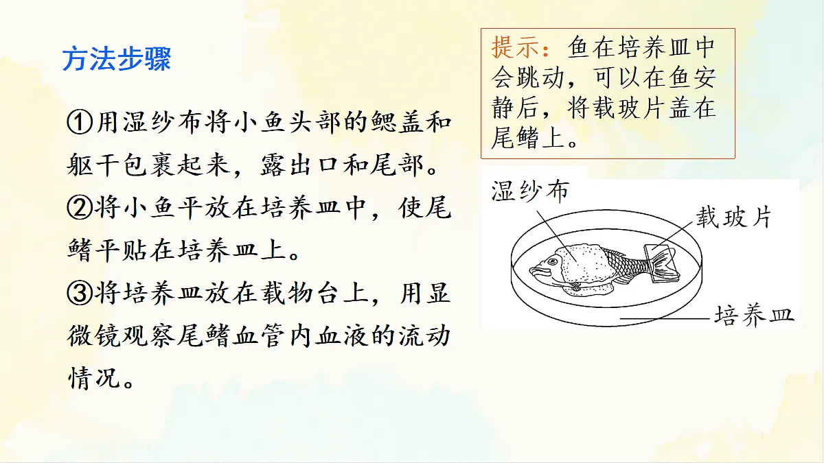 18155511第5页