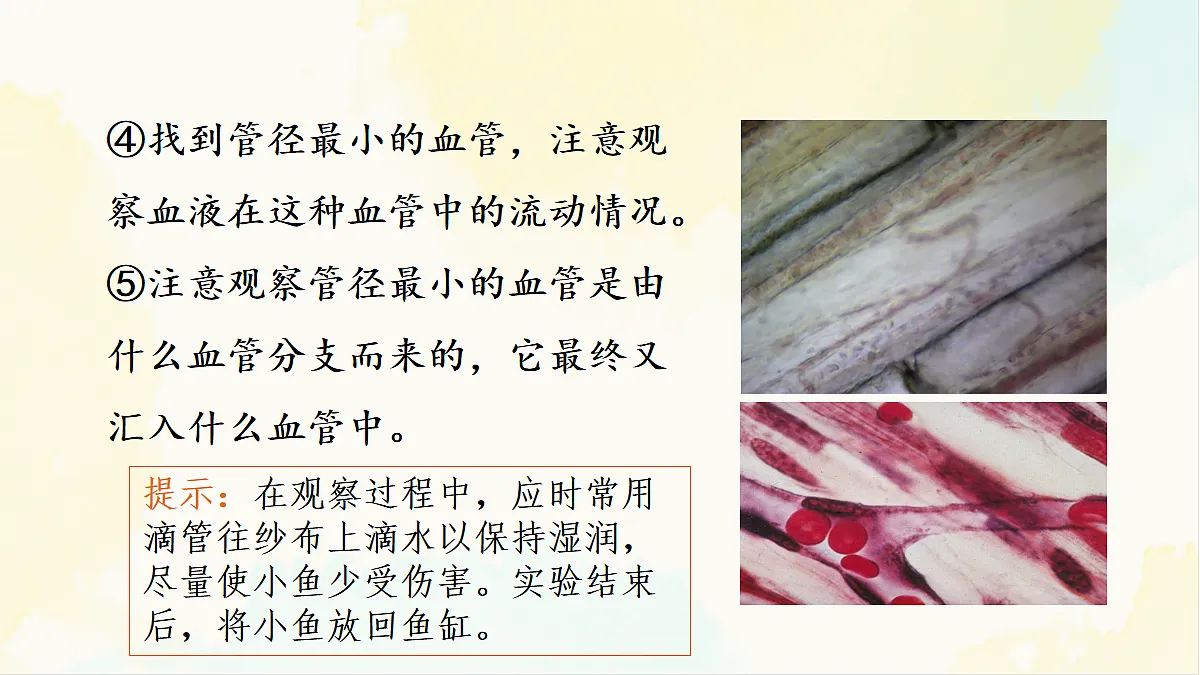 18155511第6页