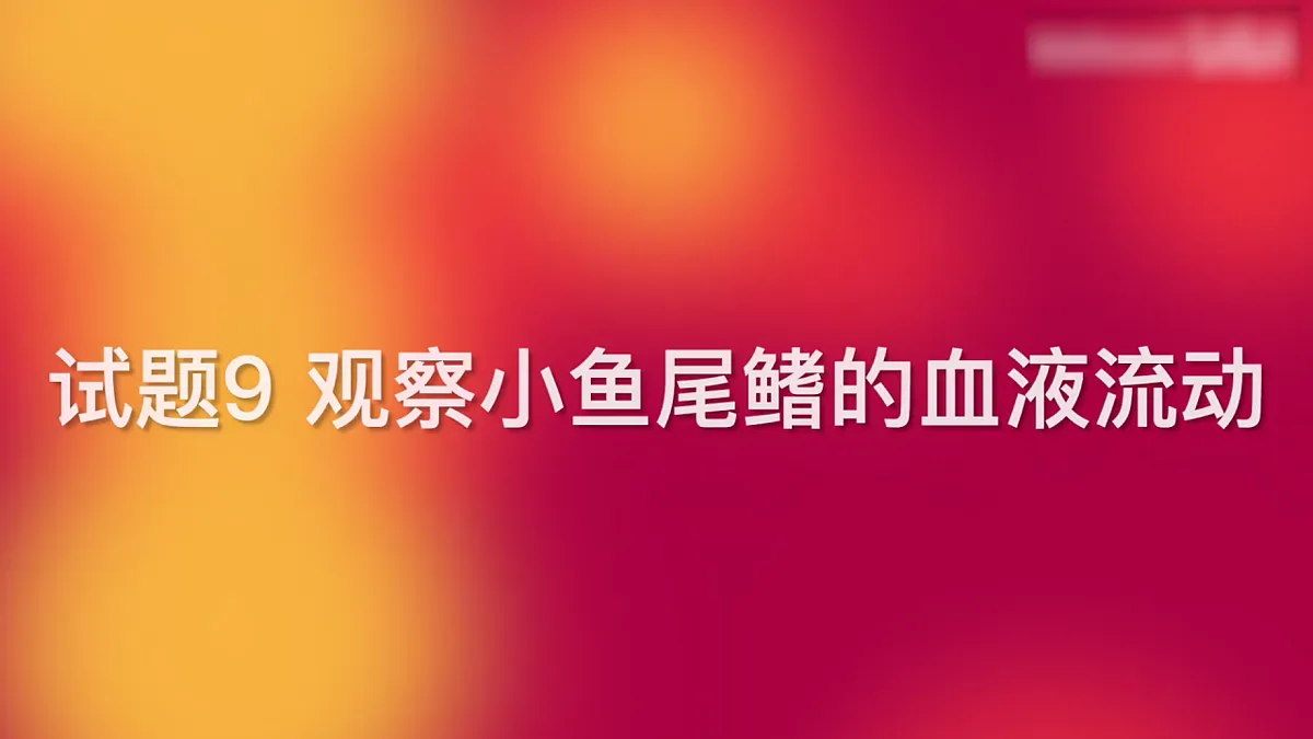 18155511第7页