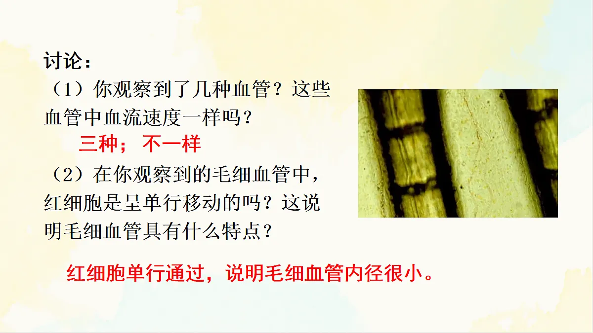 18155511第8页