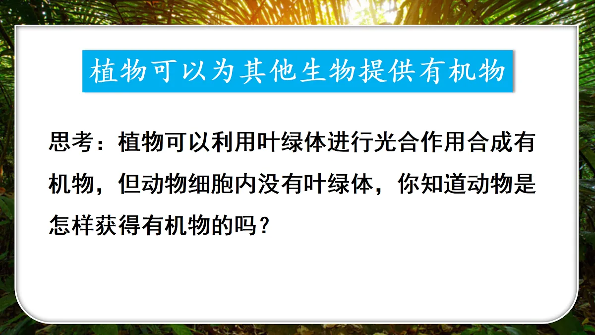 18155514第4页