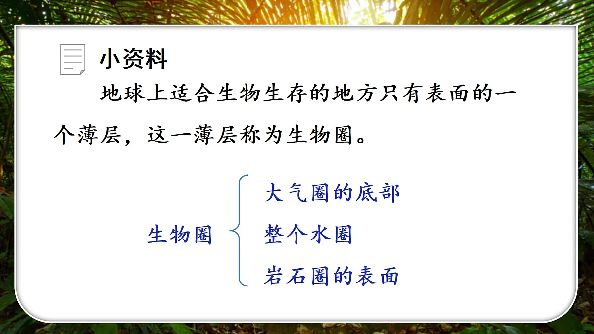 18155514第6页