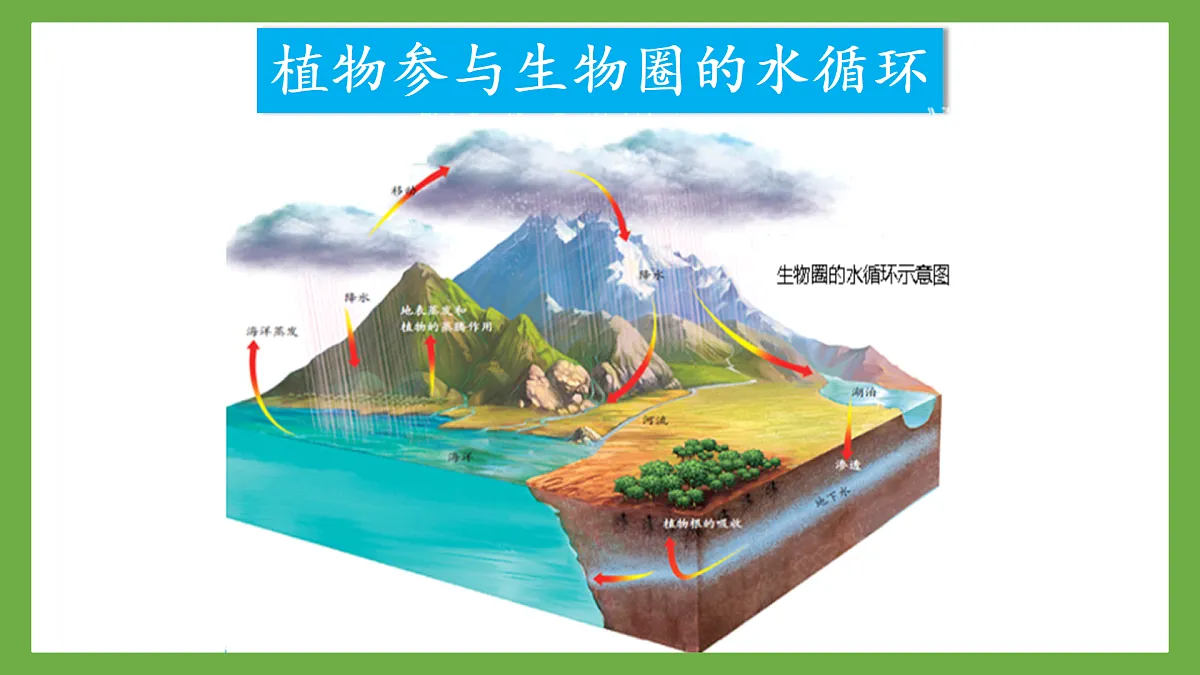 18155514第8页