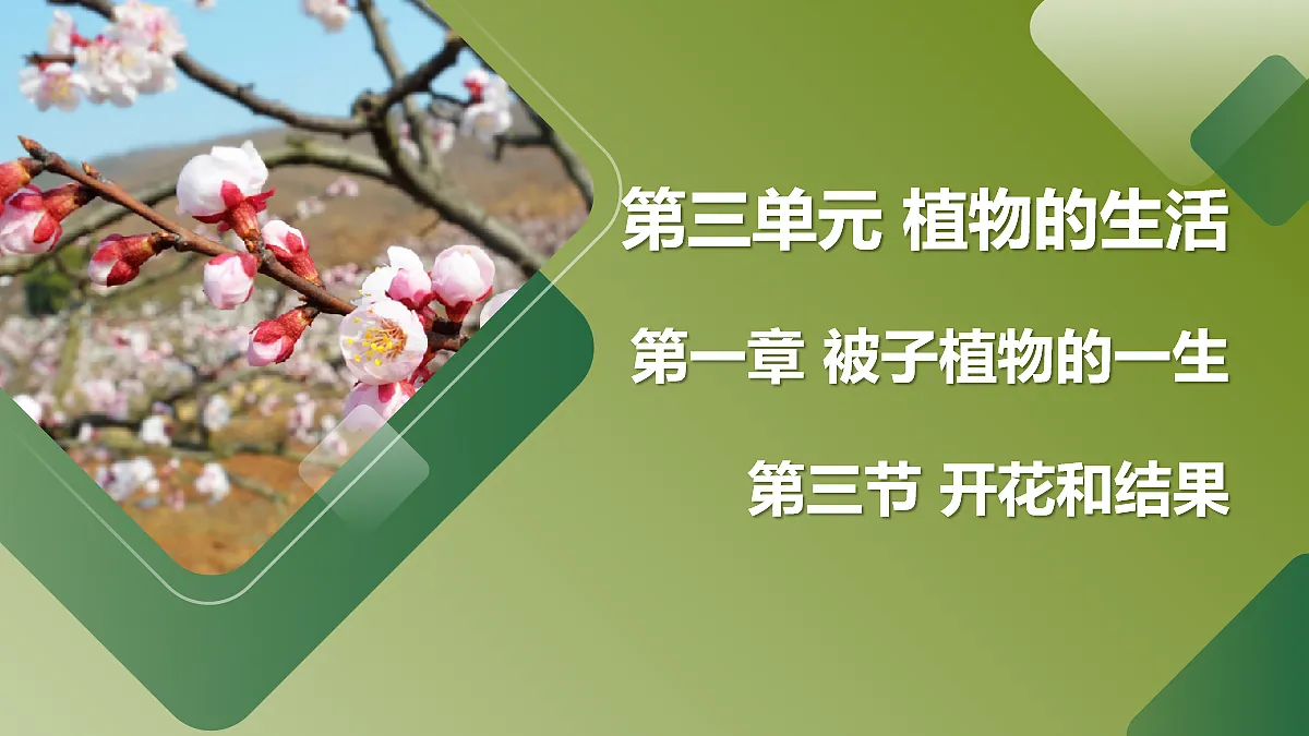 18155515第1页