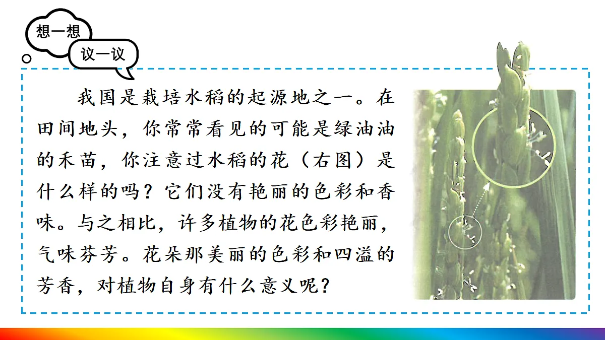 18155515第7页