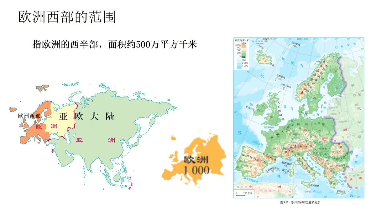 18155905第3页