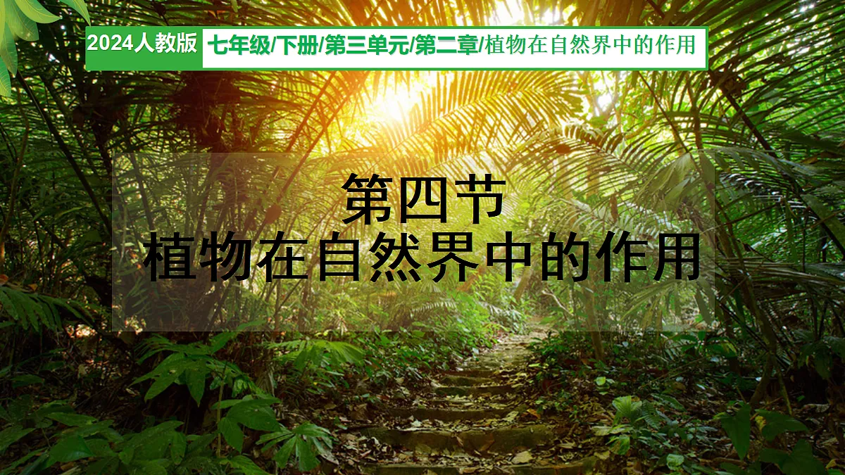18155931第2页