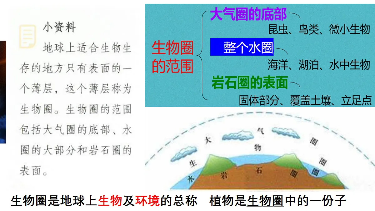 18155931第3页