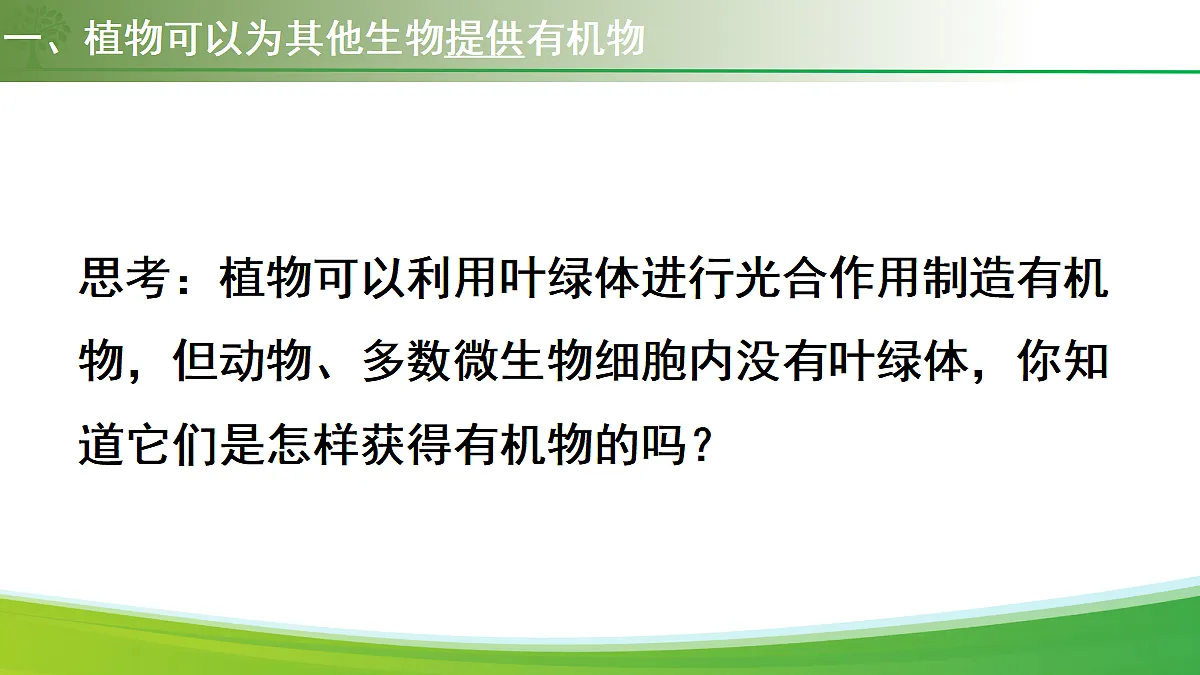 18155931第5页