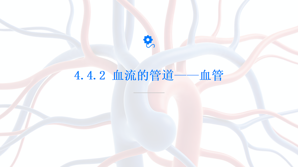 18155934第1页