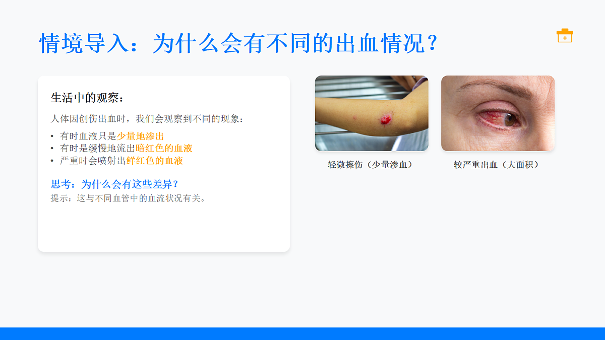 18155934第3页