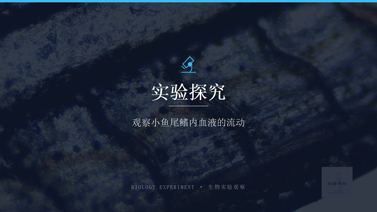 18155934第4页