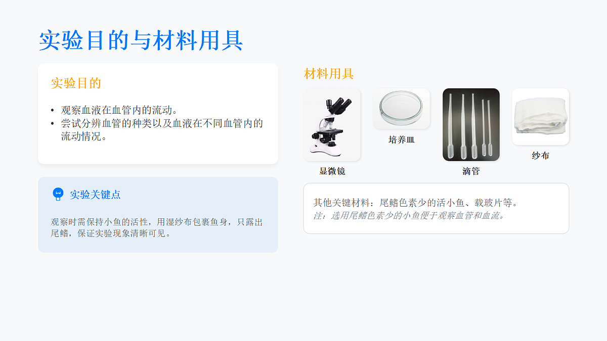 18155934第5页