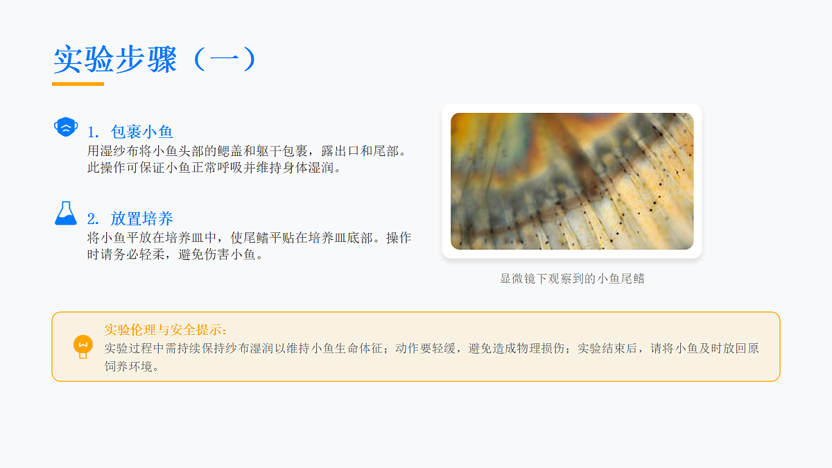 18155934第6页