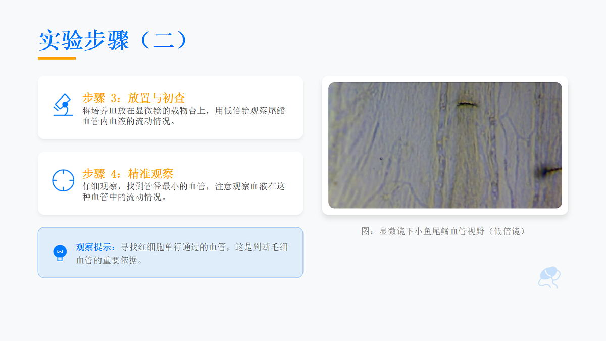 18155934第7页