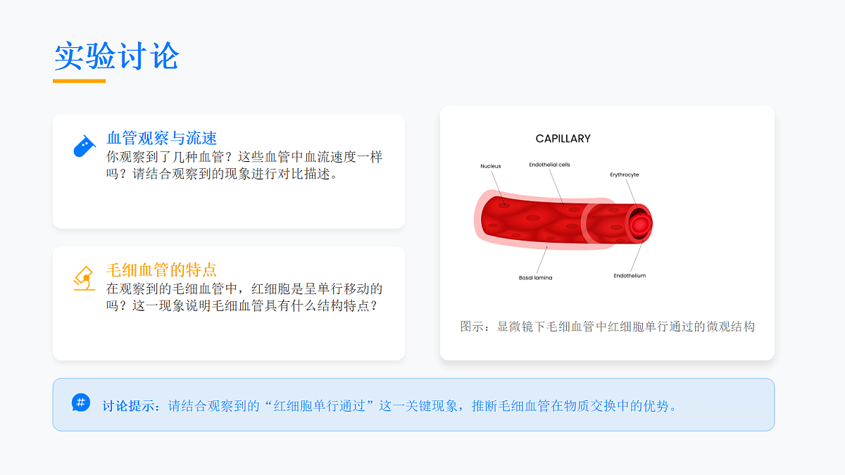 18155934第8页