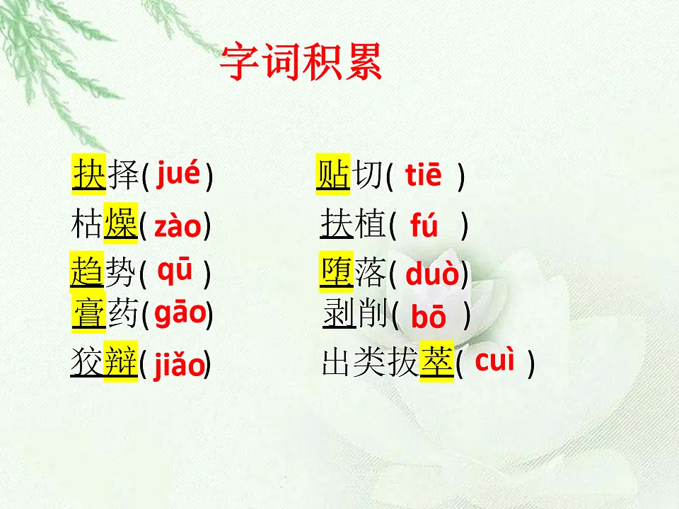 18155962第7页