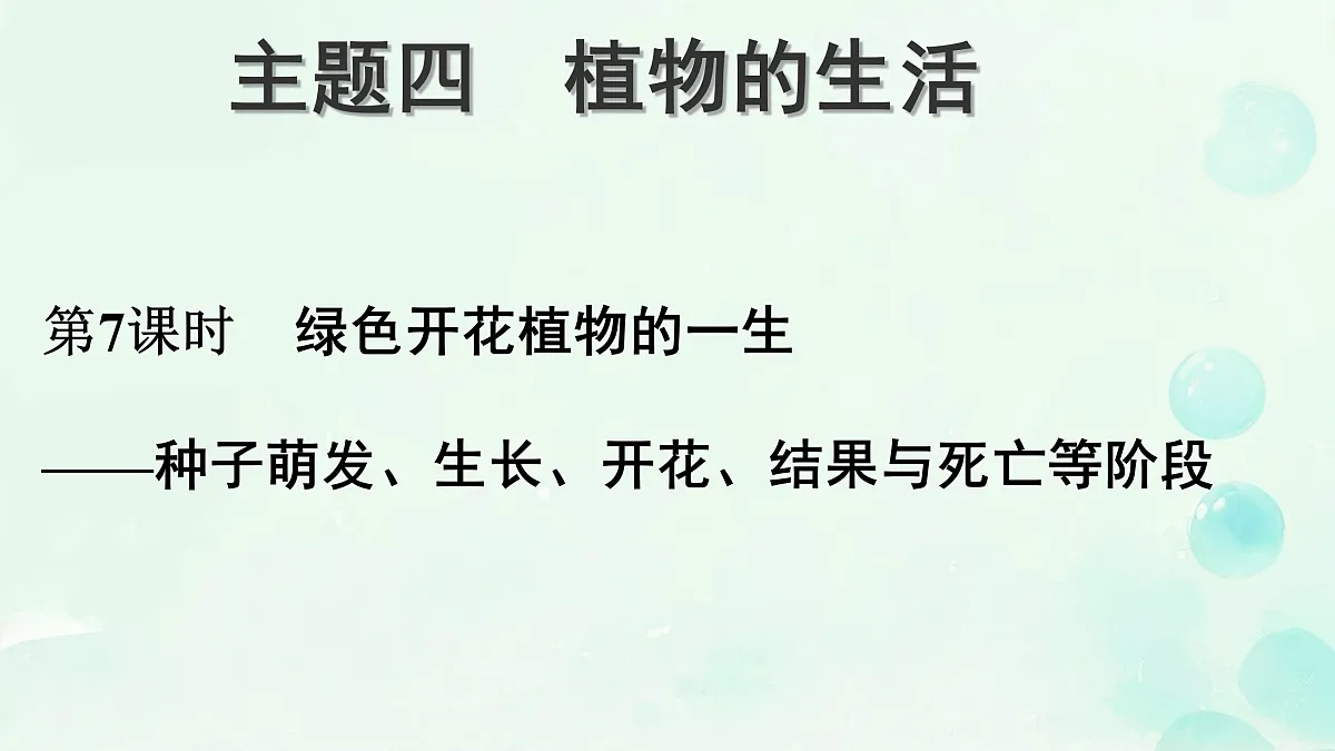 18156077第1页