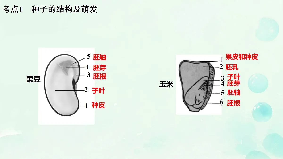 18156077第2页