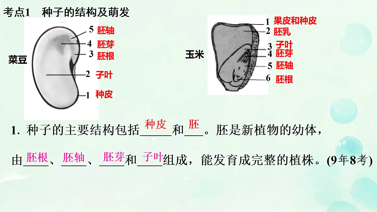 18156077第3页