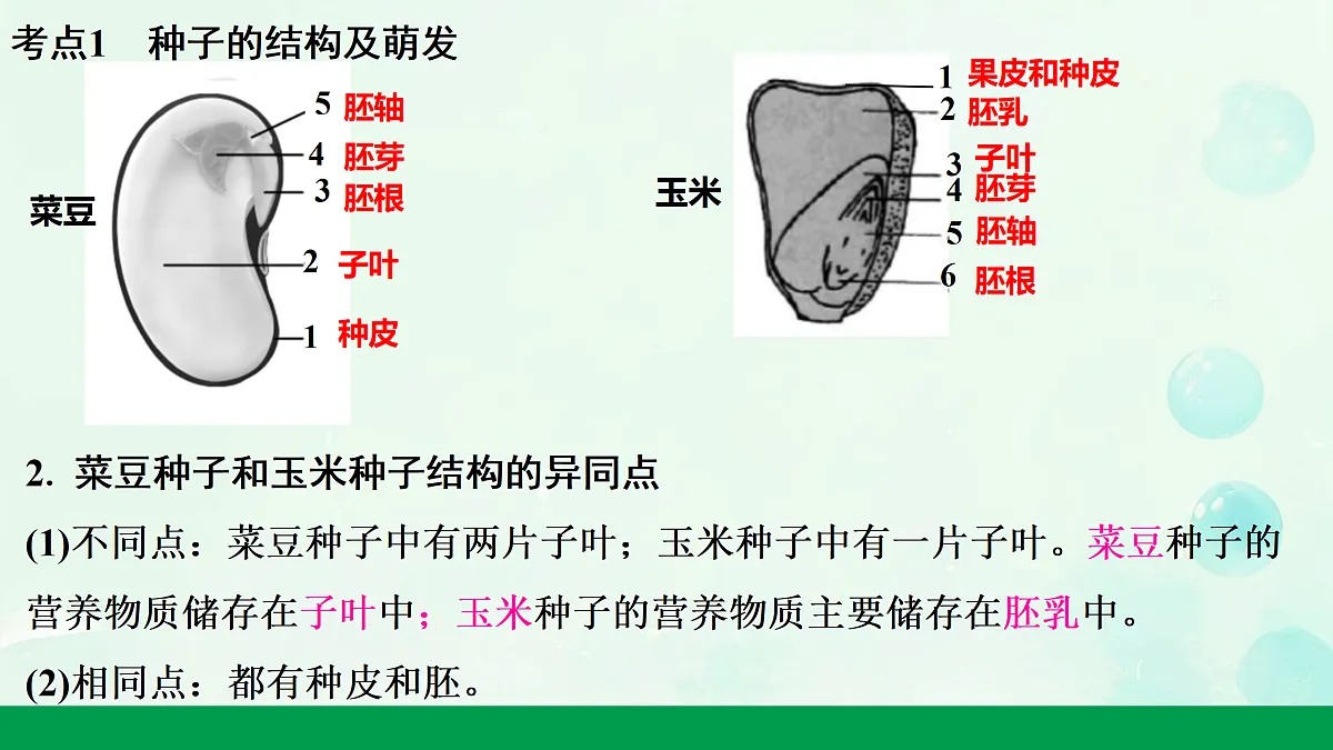 18156077第4页