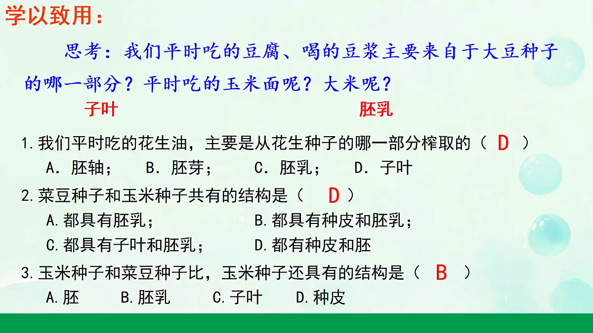 18156077第5页