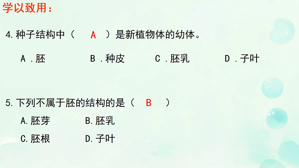 18156077第6页