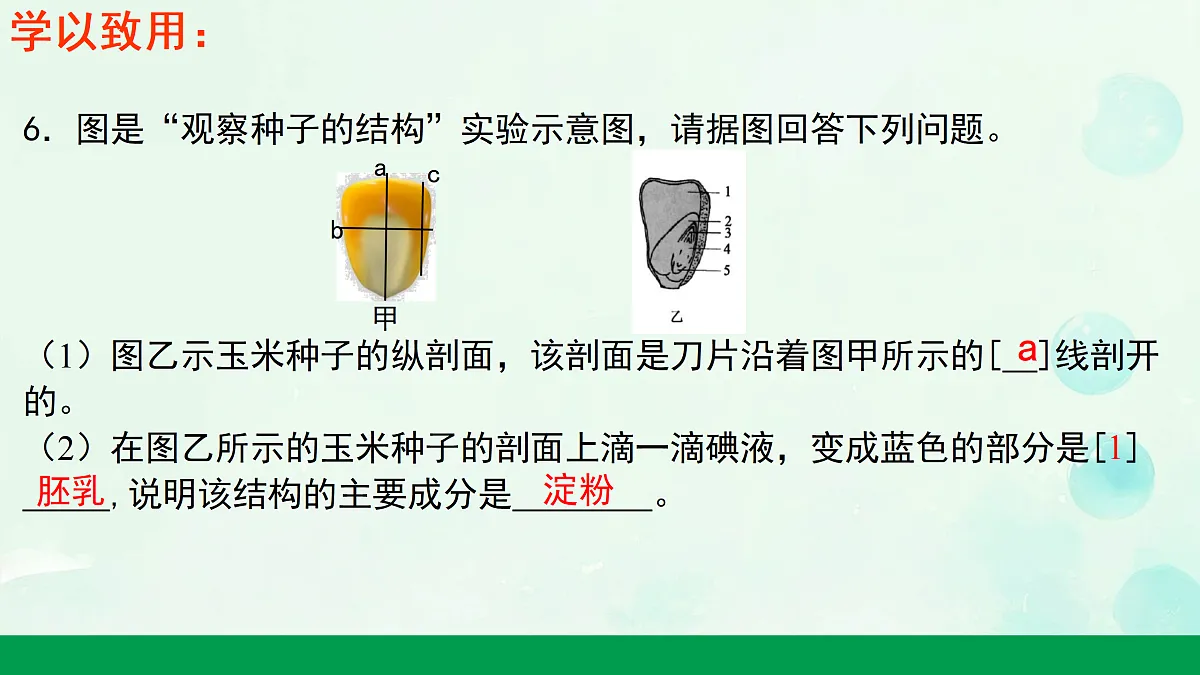 18156077第7页