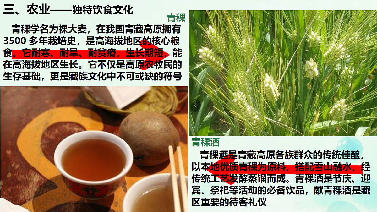 18156083第7页