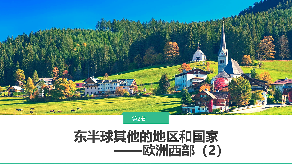 18156932第4页