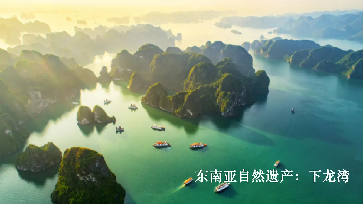 18157270第5页