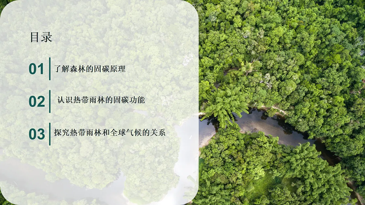 18158771第3页