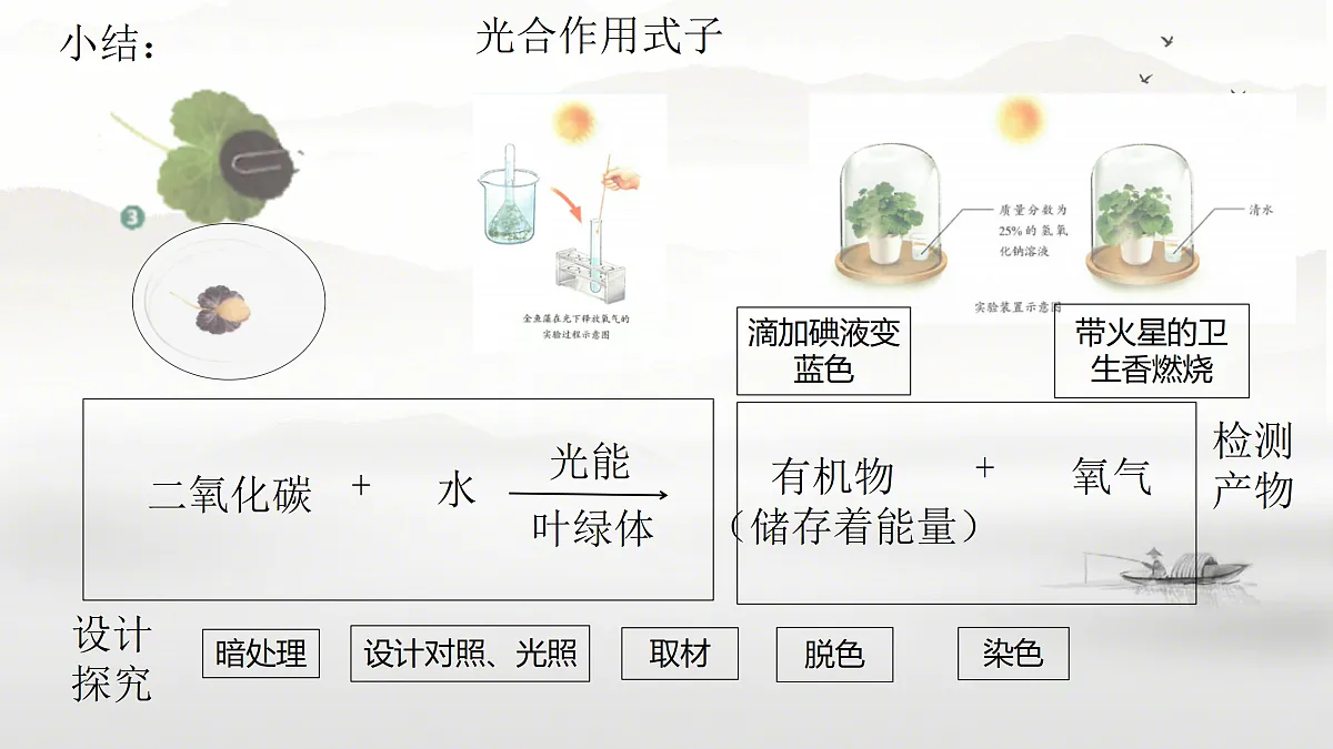 18158771第5页