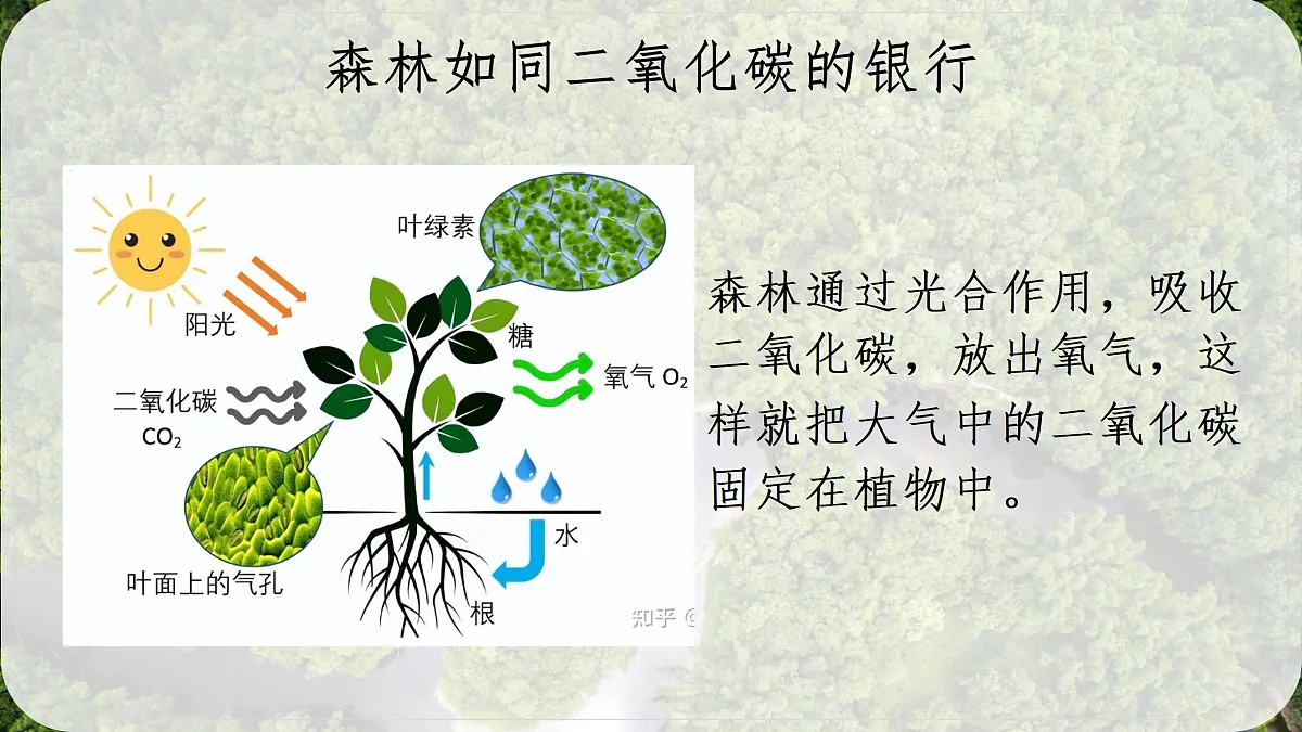 18158771第7页