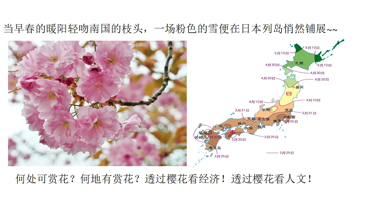 18160605第2页