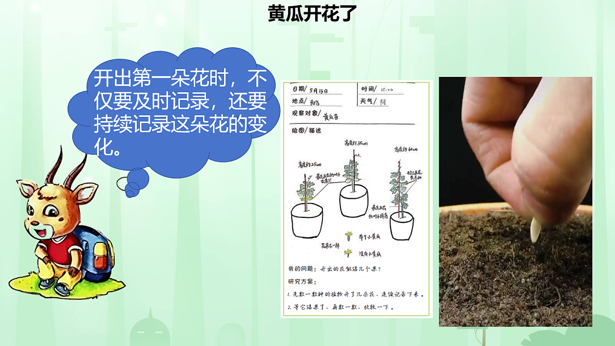 18160850第2页