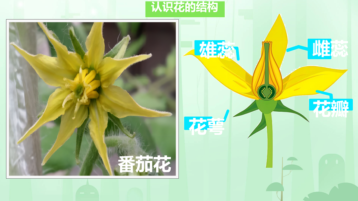 18160850第4页