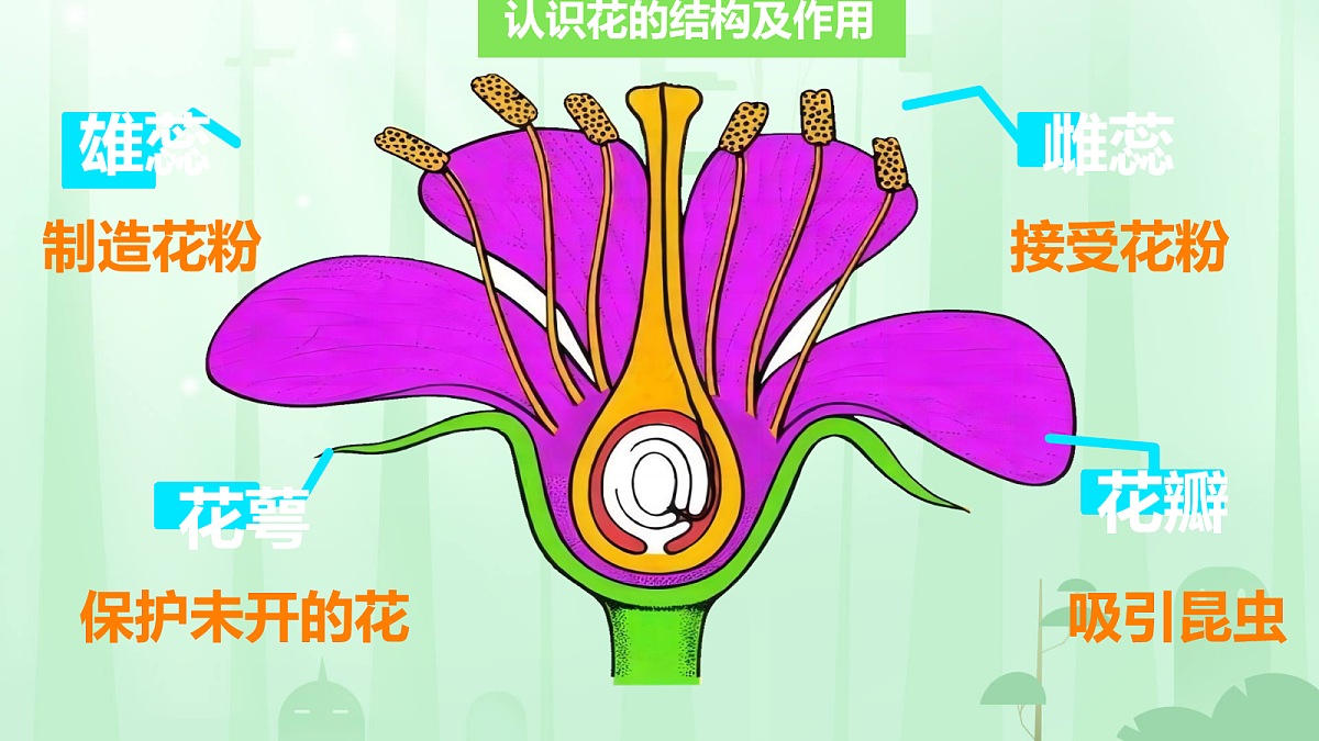 18160850第5页