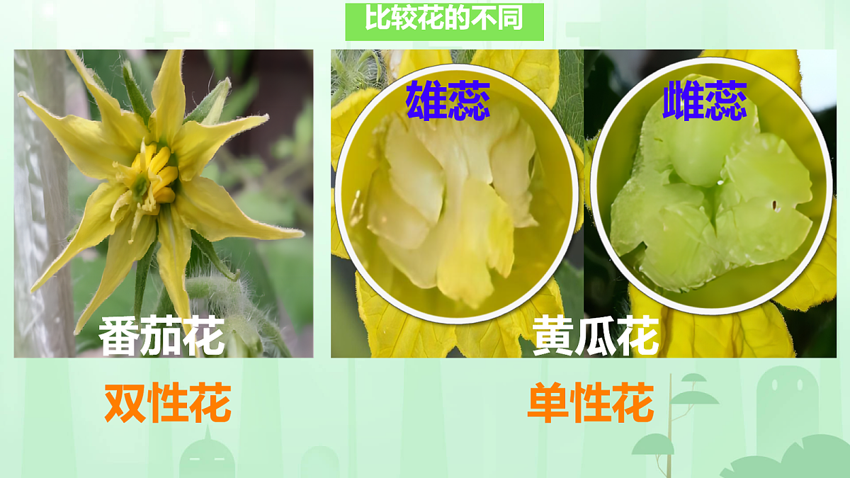 18160850第6页
