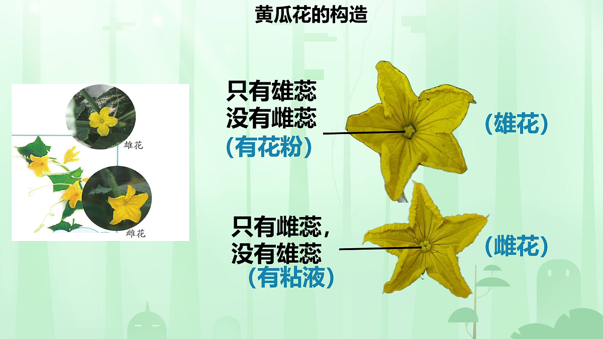 18160850第7页