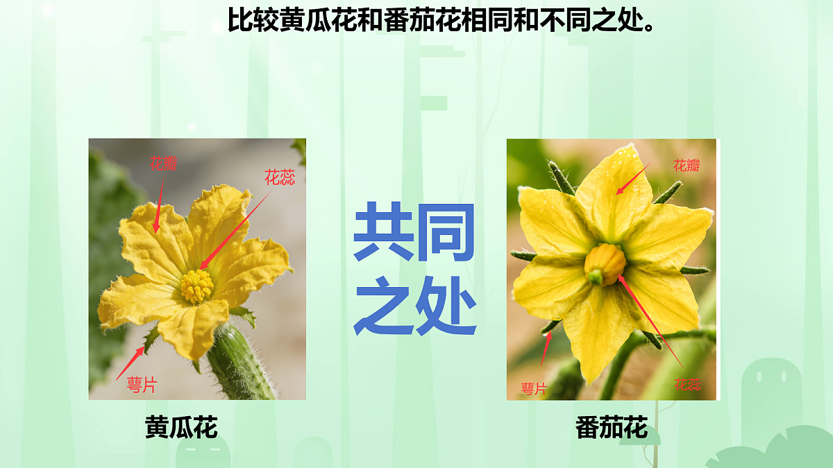 18160850第8页